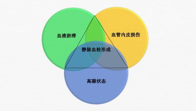 沉默殺手 VTE，如何進(jìn)行抗凝治療？三問(wèn)搞懂