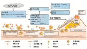 環(huán)境因素與深靜脈血栓的變化關(guān)系