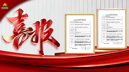 重磅捷報(bào)！雙證落地！新希望醫(yī)療深耕VTE防治，康復(fù)領(lǐng)域再添硬核利器