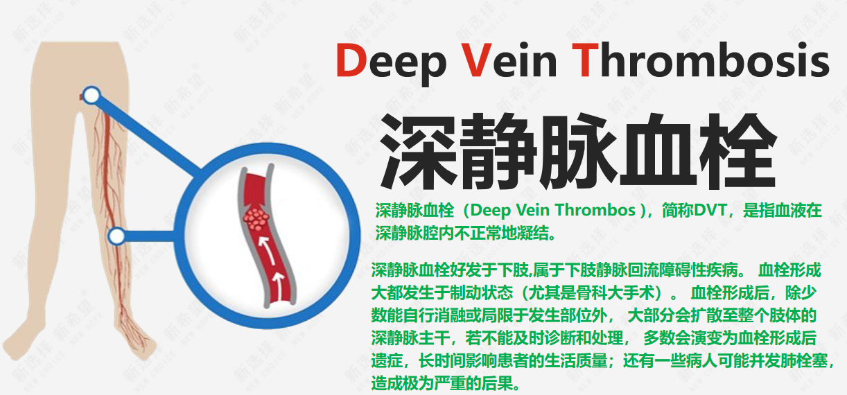 詩(shī)和遠(yuǎn)方 讓健康與靈魂共享 詩(shī)和遠(yuǎn)方 讓健康與靈魂共享