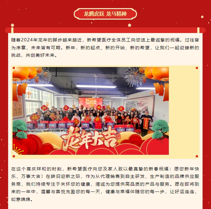 龍嘯新春，共赴新程