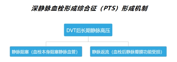淺談深靜脈血栓后綜合征（PTS）