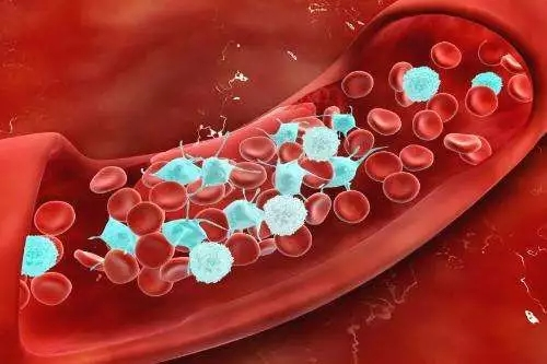 1微信截圖_20240412090457 1微信截圖_20240412090457