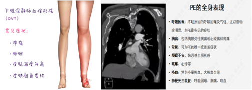 2微信截圖_20240412090457