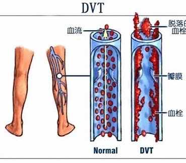 2微信截圖_20240412090457