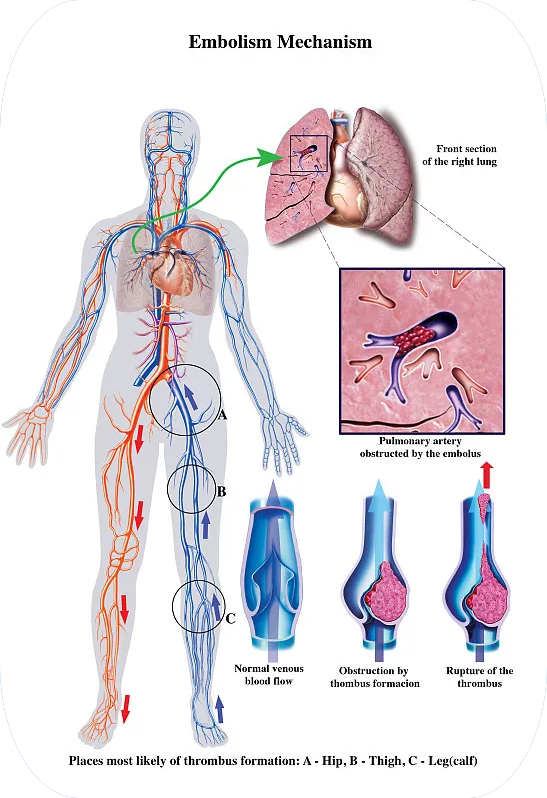 1微信截圖_20240412090457